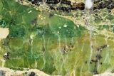 Polished Green-White Opal Slab - Western Australia #314414-1